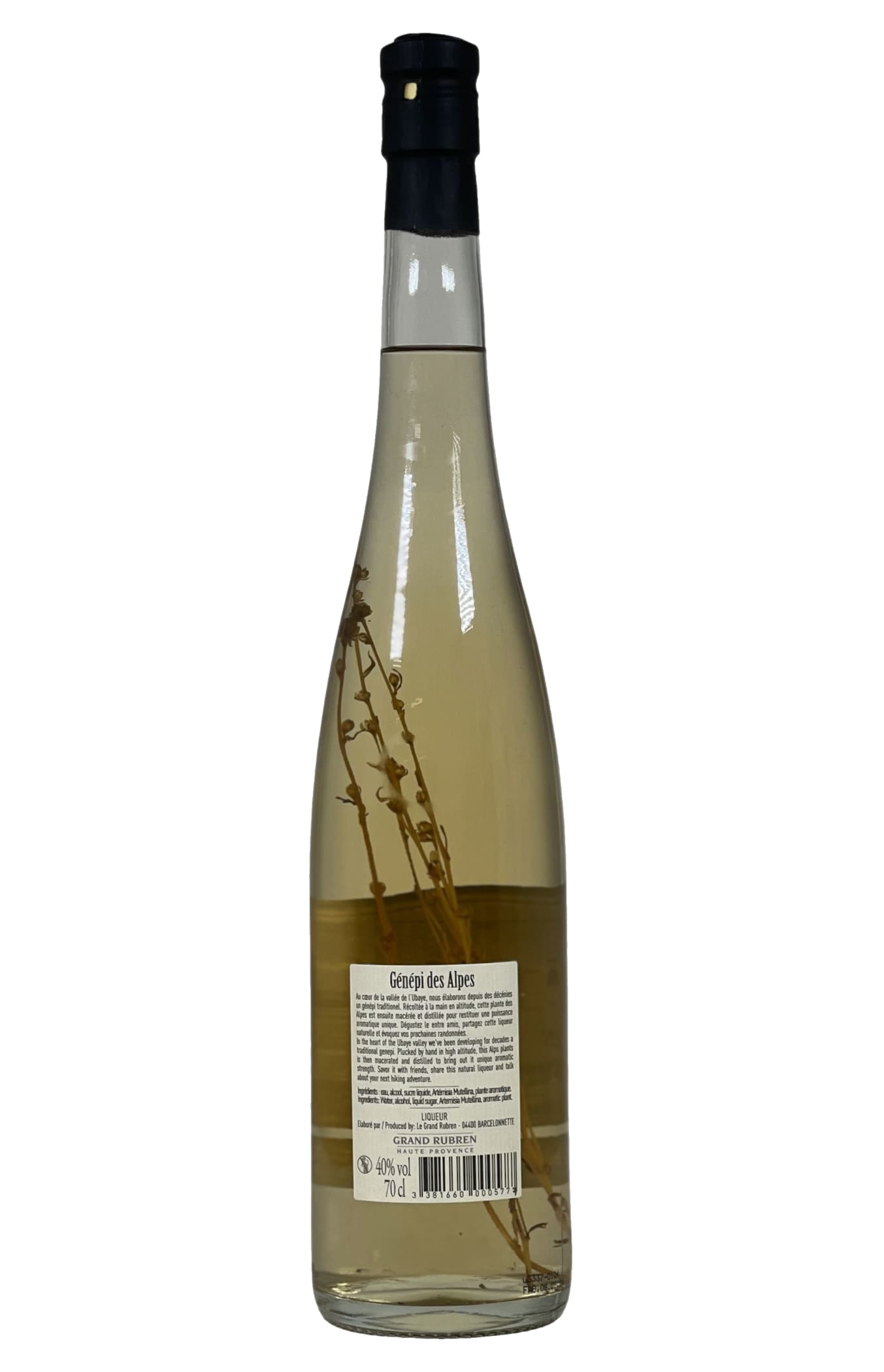 Génépi des Alpes